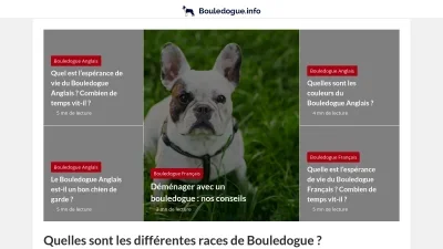Bouledogue.info